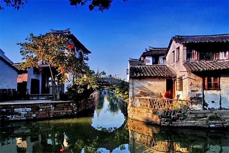 救援蓝色小鱼